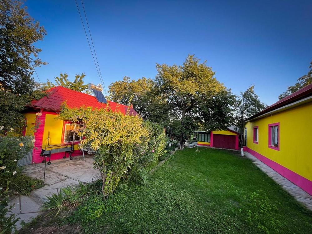 Hotel Casuta Mariuca à Greci Extérieur photo